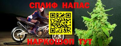 шишки Можайск